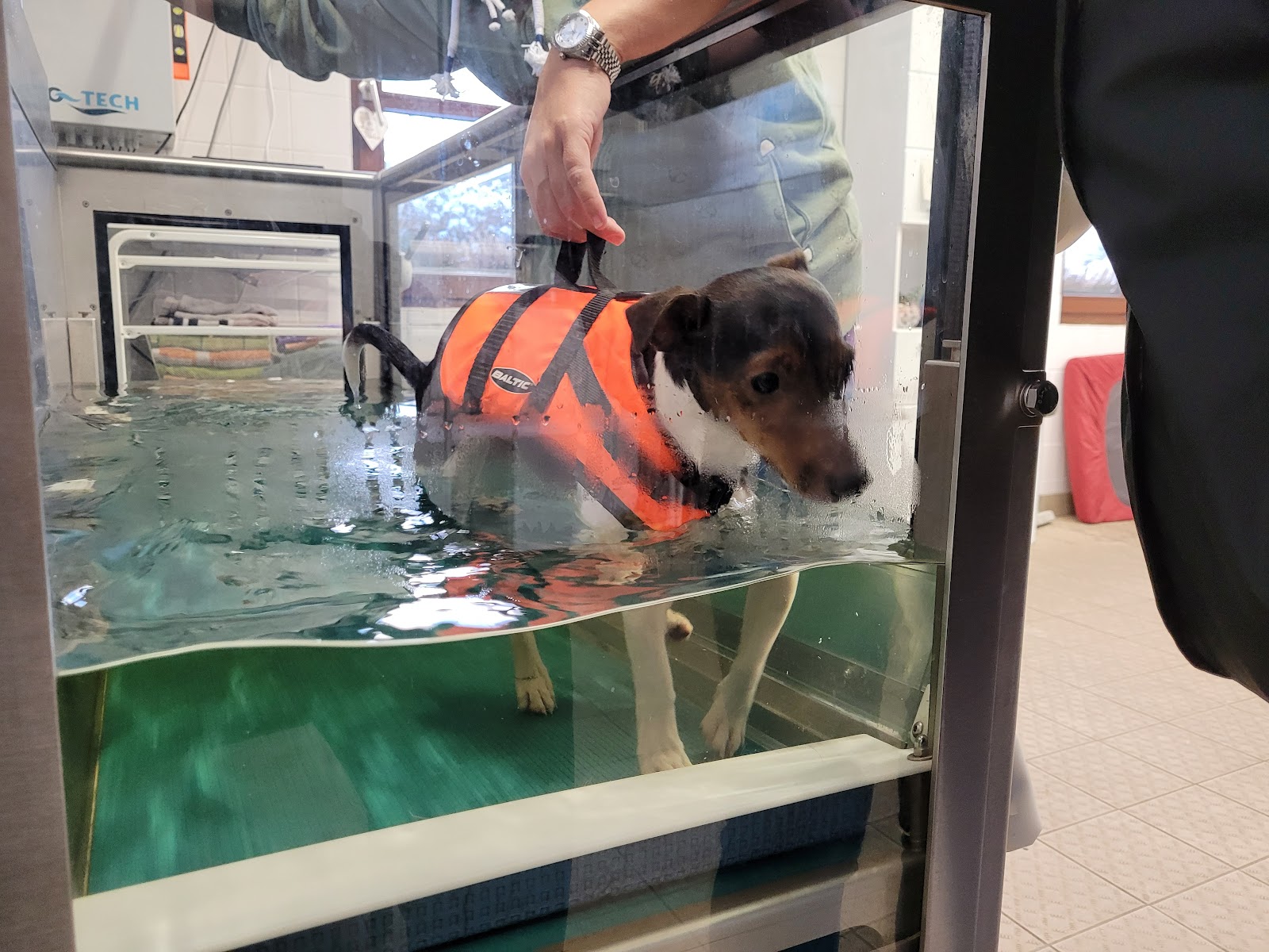 Zentrum für Tiertherapie in Berlin – Foto aus einer Patientenbewertung